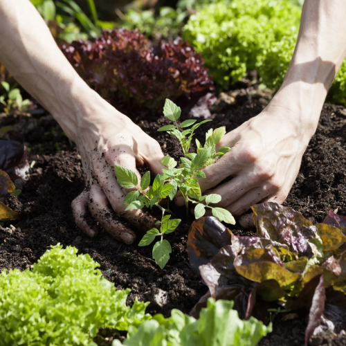 Применение