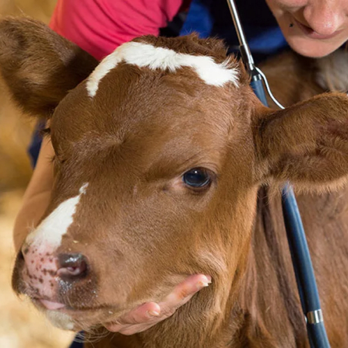 Применение